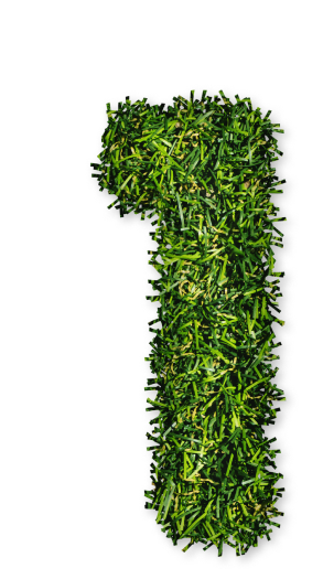 grass-number